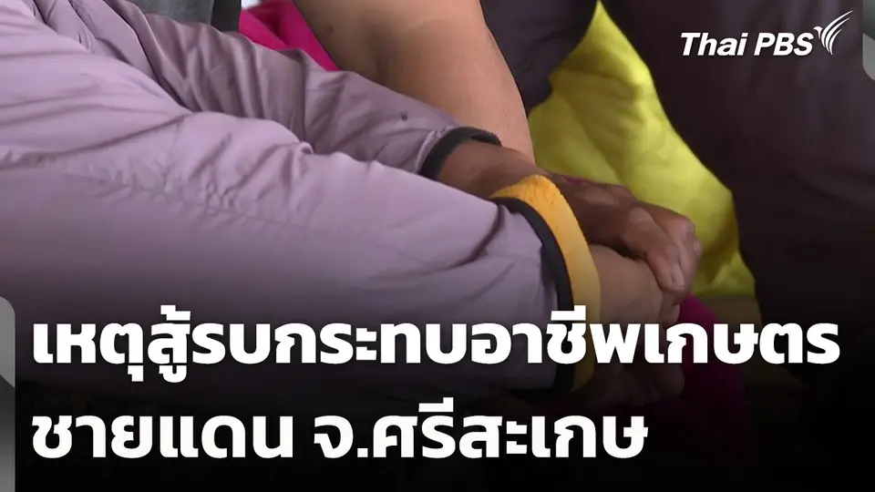 เหตุสู้รบส่งผลกระทบอาชีพเกษตรชายแดน จ.ศรีสะเกษ