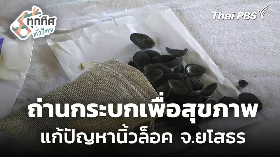 ผลิตถ่านกระบกเพื่อสุขภาพ จ.ยโสธร