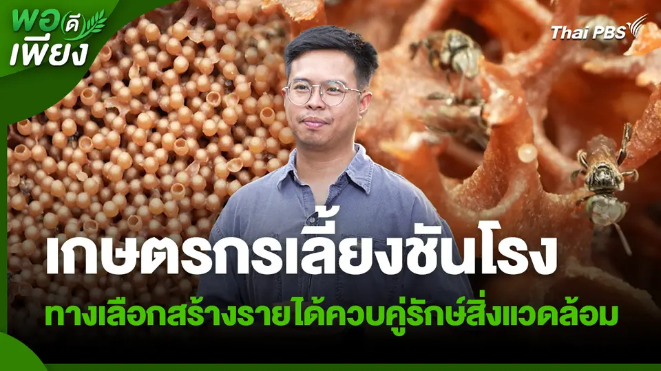 พอดีพอเพียง : เกษตรกรเลี้ยงชันโรง ทางเลือกสร้างรายได้ควบคู่รักษ์สิ่งแวดล้อม