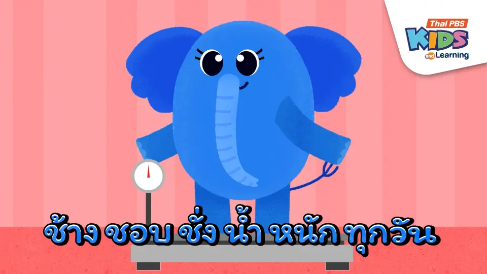 เพลง : ช้างชอบชั่งน้ำหนัก