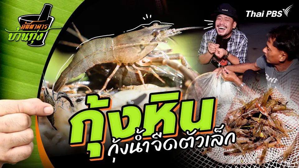 กุ้งหิน