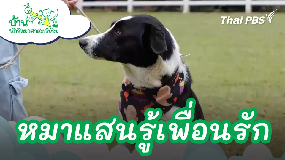 หมาแสนรู้เพื่อนรัก
