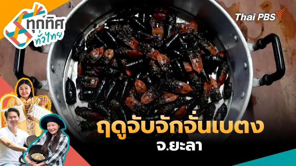 ทุกทิศทั่วไทย