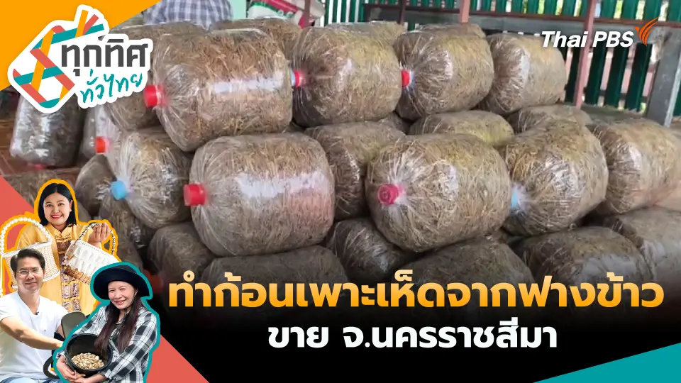 ทุกทิศทั่วไทย