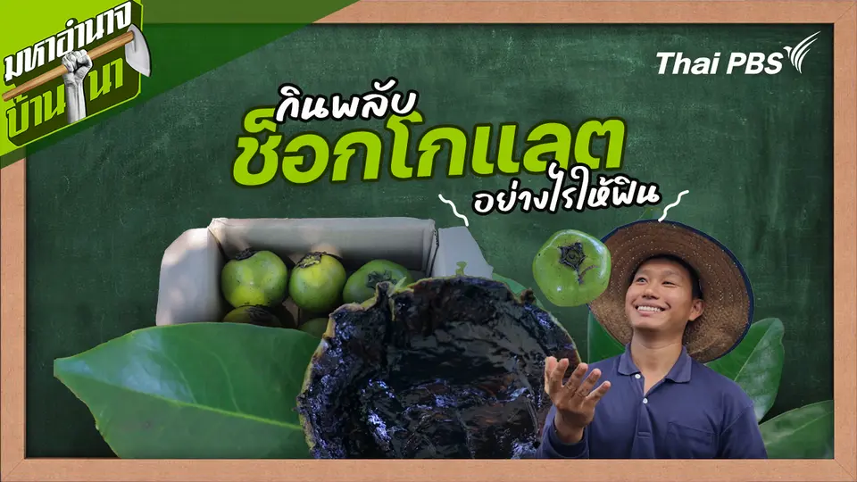 สูตรลับฉบับบ้านนา : กินพลับช็อกโกแลต อย่างไรให้ฟิน