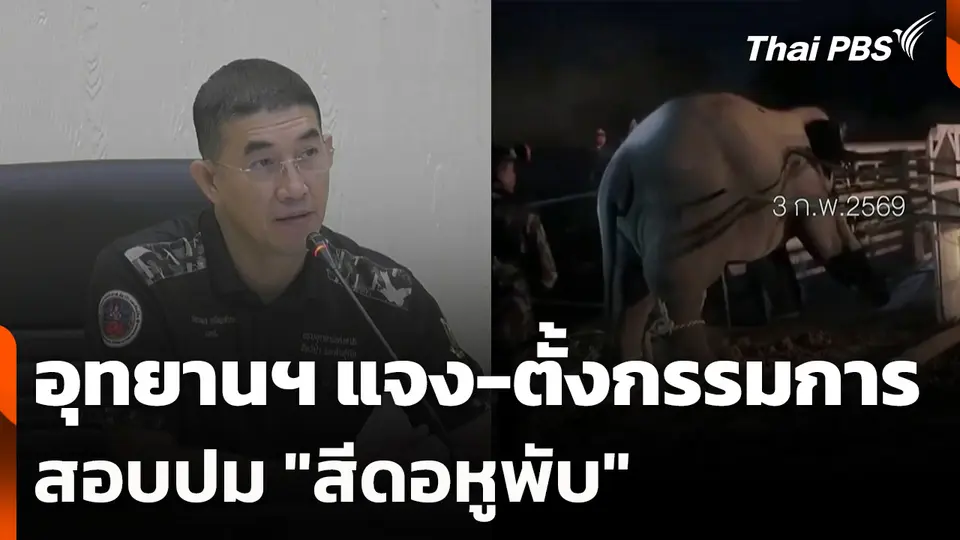 อุทยานฯ แจง-ตั้งกรรมการสอบปม "สีดอหูพับ"