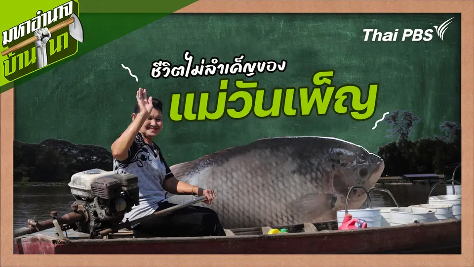 สูตรลับฉบับบ้านนา : ชีวิตไม่ลำเค็ญของแม่วันเพ็ญ