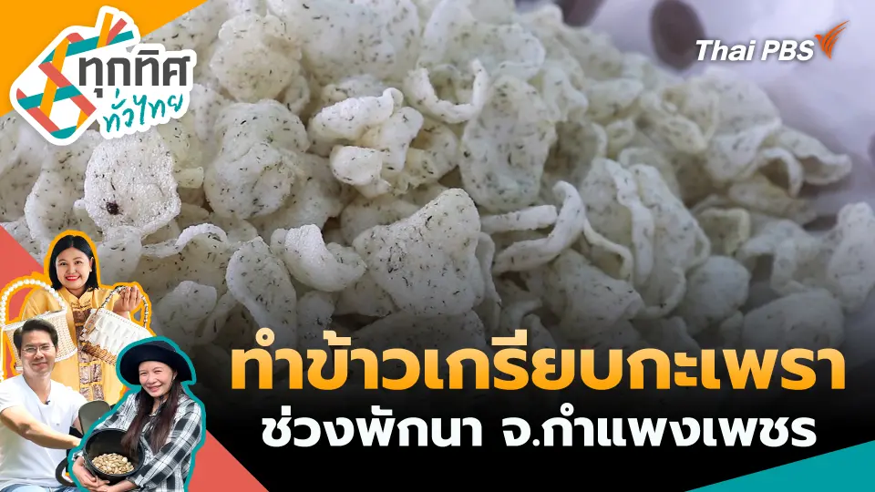 ทำข้าวเกรียบกะเพราช่วงพักนา จ.กำแพงเพชร
