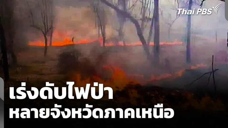 เร่งดับไฟป่า หลายจังหวัดภาคเหนือ