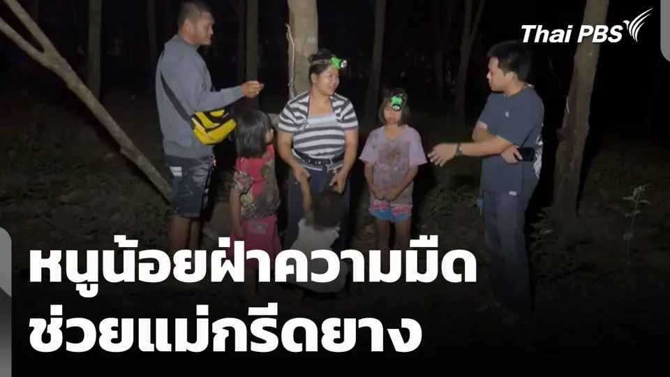 หนูน้อยฝ่าความมืดช่วยแม่กรีดยาง