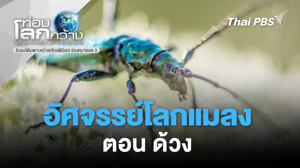 ท่องโลกกว้าง