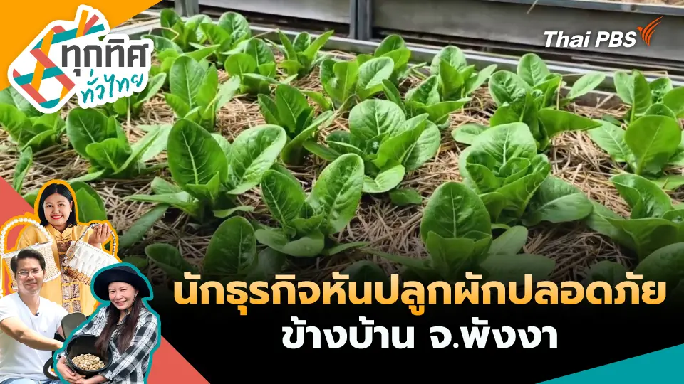 ทุกทิศทั่วไทย