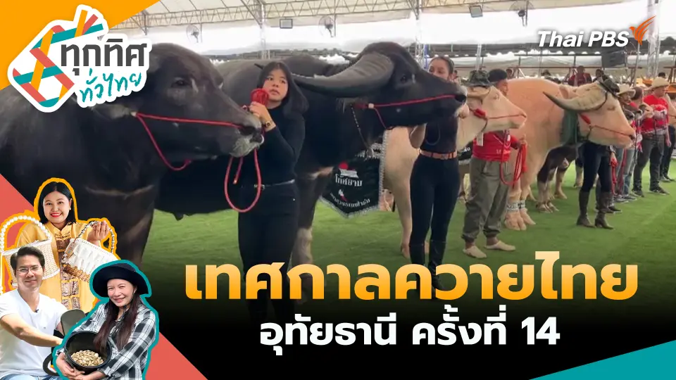 ทุกทิศทั่วไทย