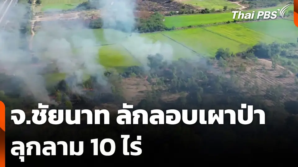 จ.ชัยนาท ลักลอบเผาป่าลุกลาม 10 ไร่