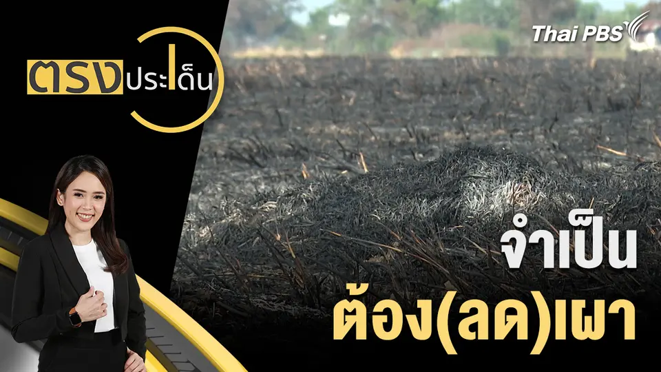 ตรงประเด็น