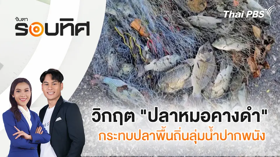 จับตารอบทิศ