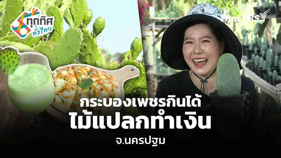 กระบองเพชรกินได้ ไม้แปลกทำเงิน จ.นครปฐม