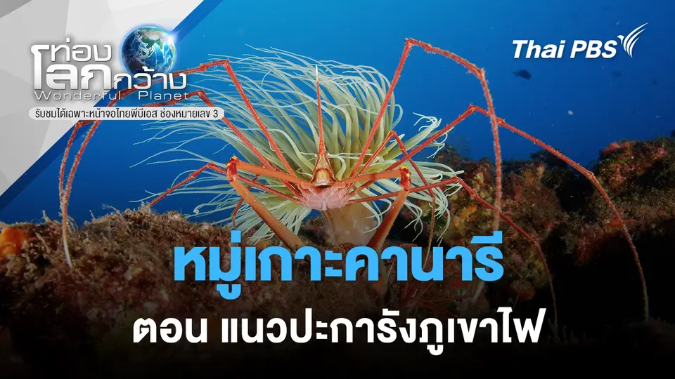 ท่องโลกกว้าง