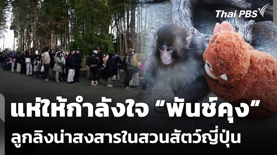 แห่ให้กำลังใจ “พันช์คุง” ลูกลิงน่าสงสารในสวนสัตว์ญี่ปุ่น