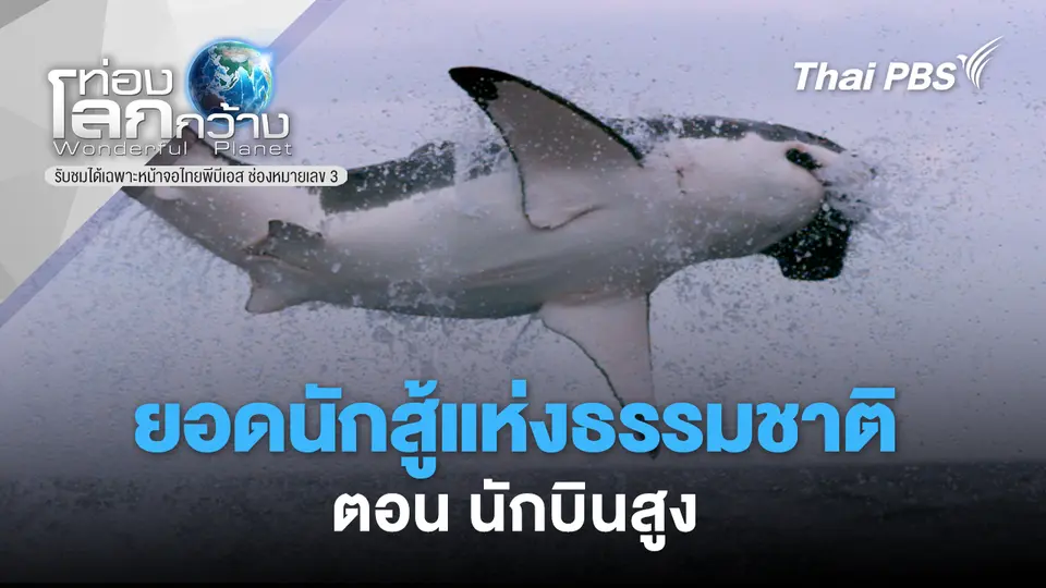 ท่องโลกกว้าง