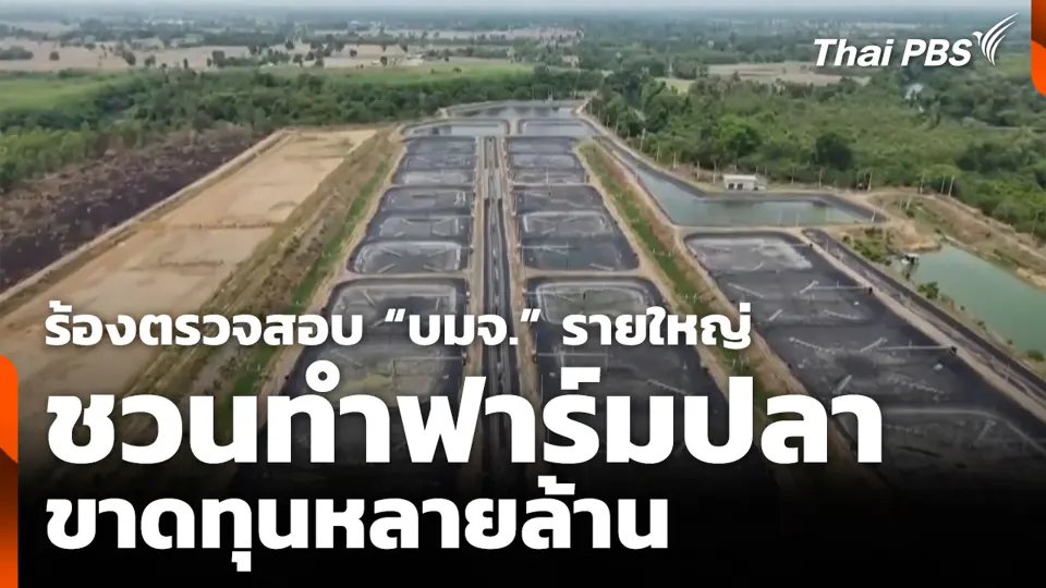 ร้องตรวจสอบ “บมจ.” รายใหญ่ ชวนทำฟาร์มปลา ขาดทุนหลายล้าน