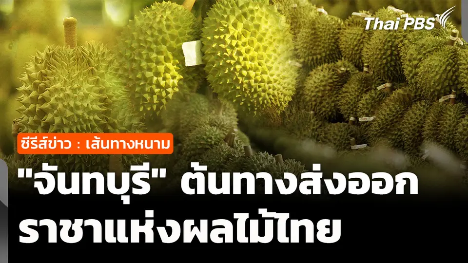 ซีรีส์ข่าว เส้นทางหนาม ตอนที่ 1 : "จันทบุรี" ต้นทางส่งออก "ราชาผลไม้ไทย"