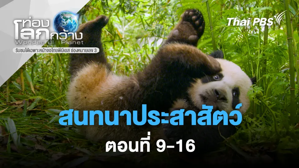 ท่องโลกกว้าง