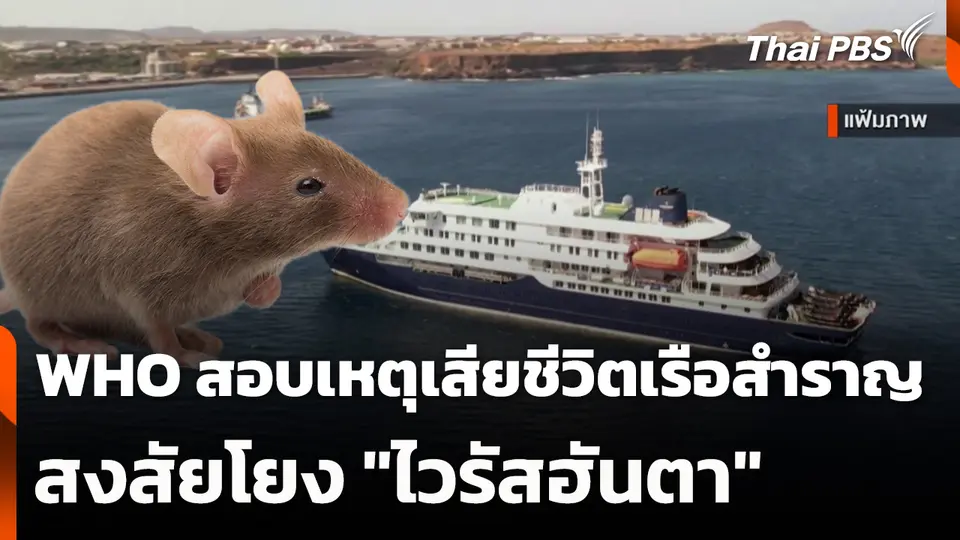WHO สอบเหตุเสียชีวิตเรือสำราญสงสัยโยง "ไวรัสฮันตา"