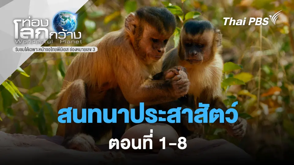 ท่องโลกกว้าง