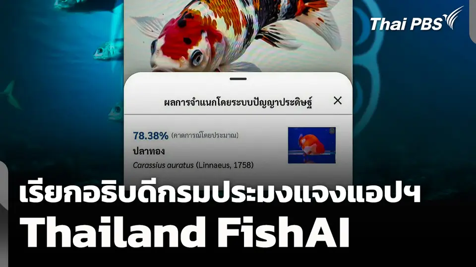 เรียกอธิบดีกรมประมงแจง แอปฯ "Thailand FishAI"