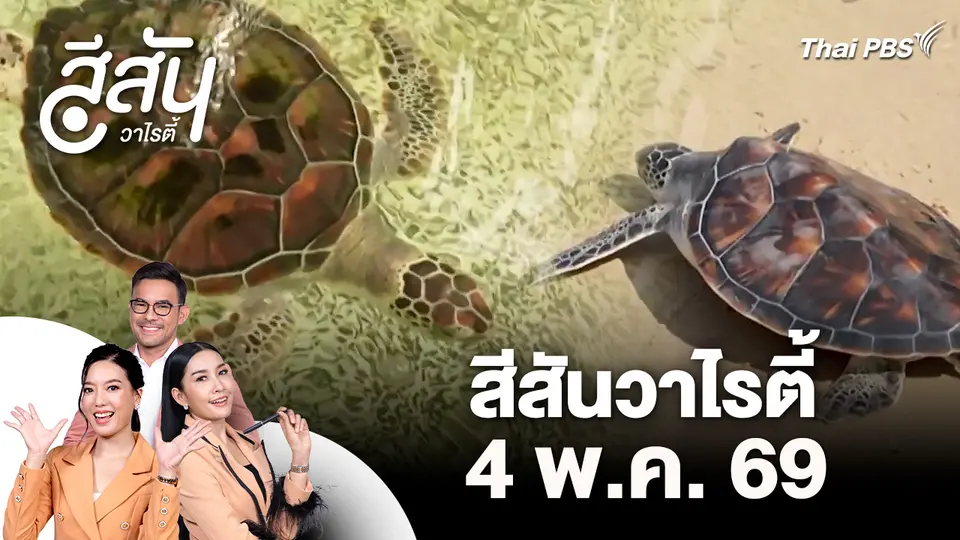 สีสันวาไรตี้ (4 พ.ค. 69)