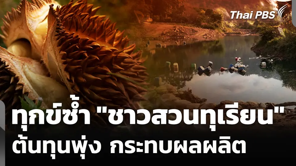 ทุกข์ซ้ำ! "ชาวสวนทุเรียน" ต้นทุนพุ่ง กระทบผลผลิต