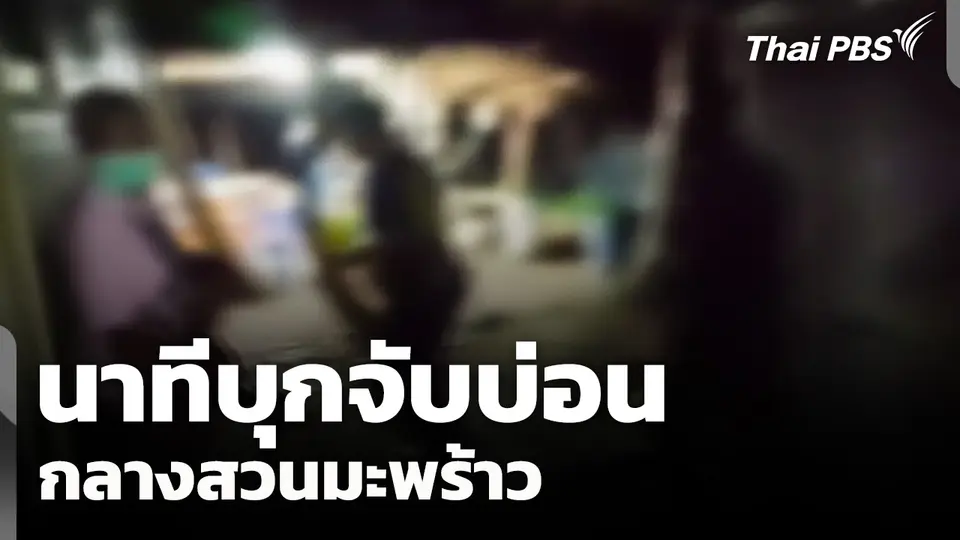 นาทีบุกจับบ่อนกลางสวนมะพร้าว รวบนักพนันนับร้อย
