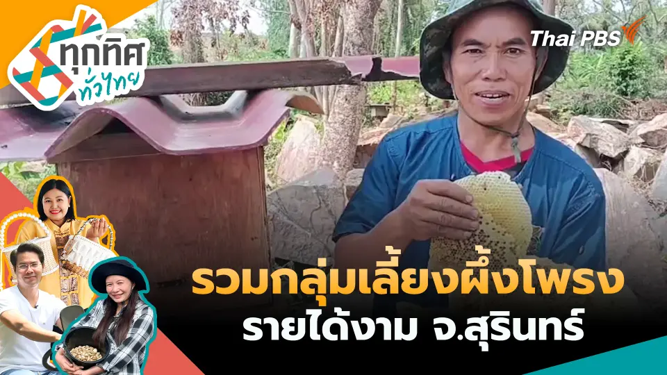 ทุกทิศทั่วไทย