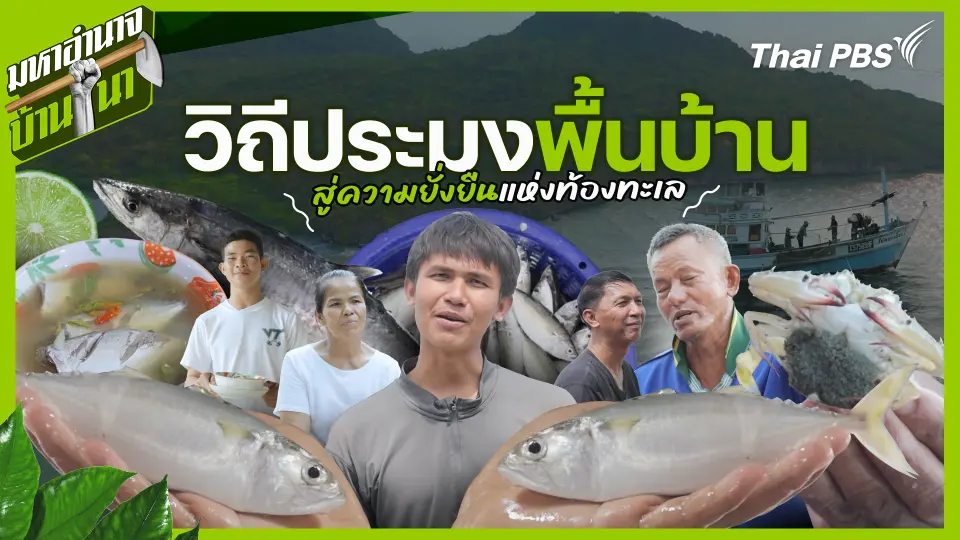 วิถีประมงพื้นบ้าน สู่ความยั่งยืนแห่งท้องทะเล
