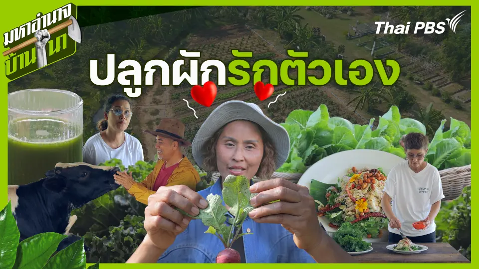 ปลูกผัก…รักตัวเอง