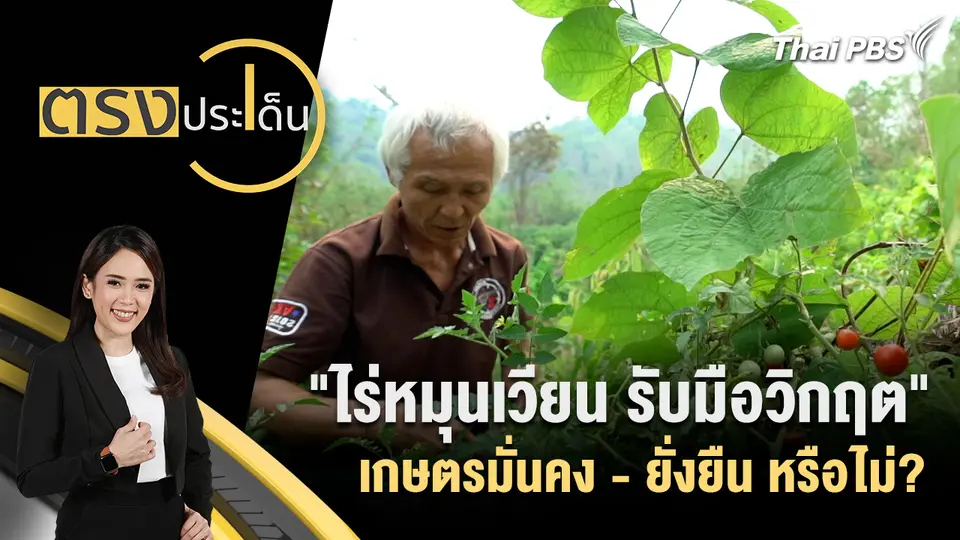 "ไร่หมุนเวียน รับมือวิกฤต" เกษตรมั่นคง - ยั่งยืน หรือไม่?
