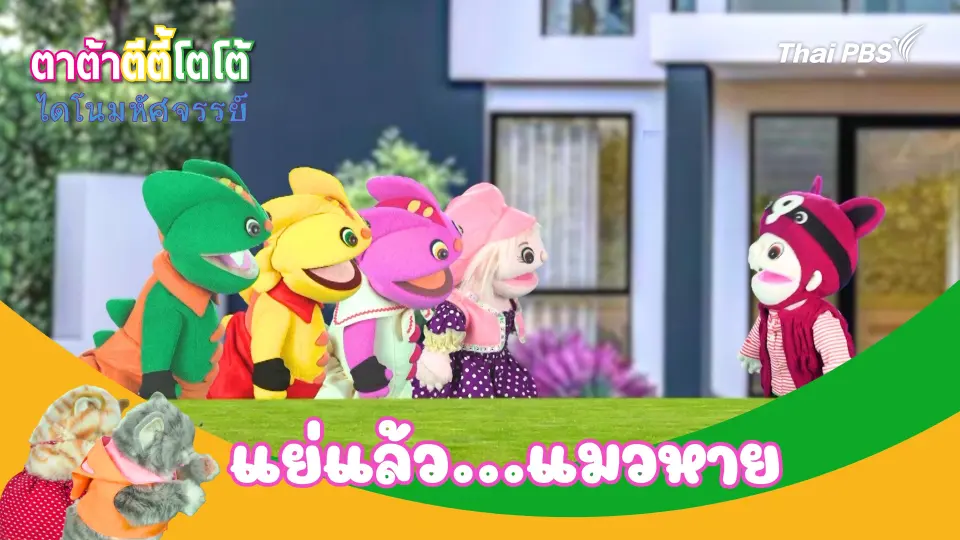 แย่แล้วแมวหาย
