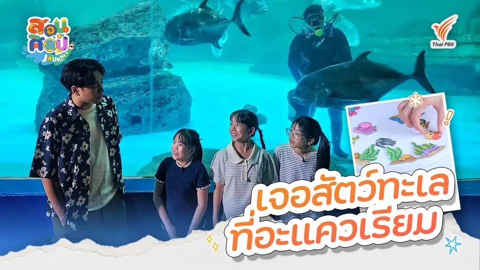เจอสัตว์ทะเลที่อะแควเรียม