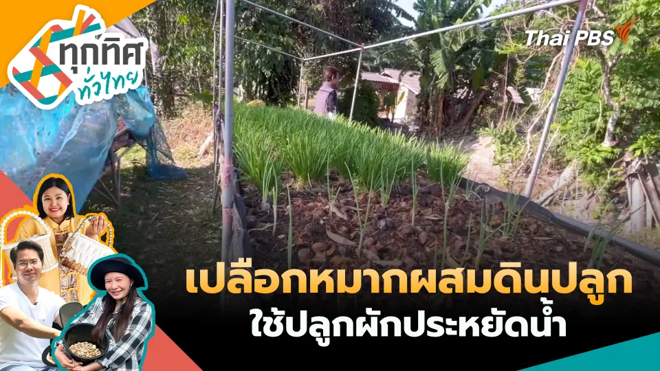 ทุกทิศทั่วไทย