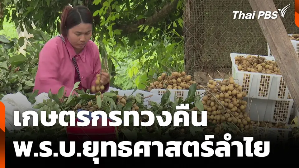 เกษตรกรทวงคืน พ.ร.บ.ยุทธศาสตร์ลำไย