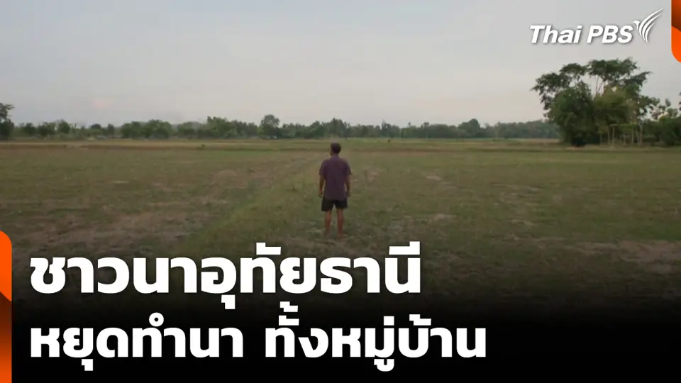 ชาวนาอุทัยธานี หยุดทำนาทั้งหมู่บ้าน