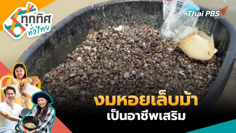 ทุกทิศทั่วไทย