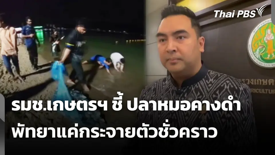 รมช.เกษตรฯ ชี้ "ปลาหมอคางดำ" พัทยาแค่กระจายตัวชั่วคราว