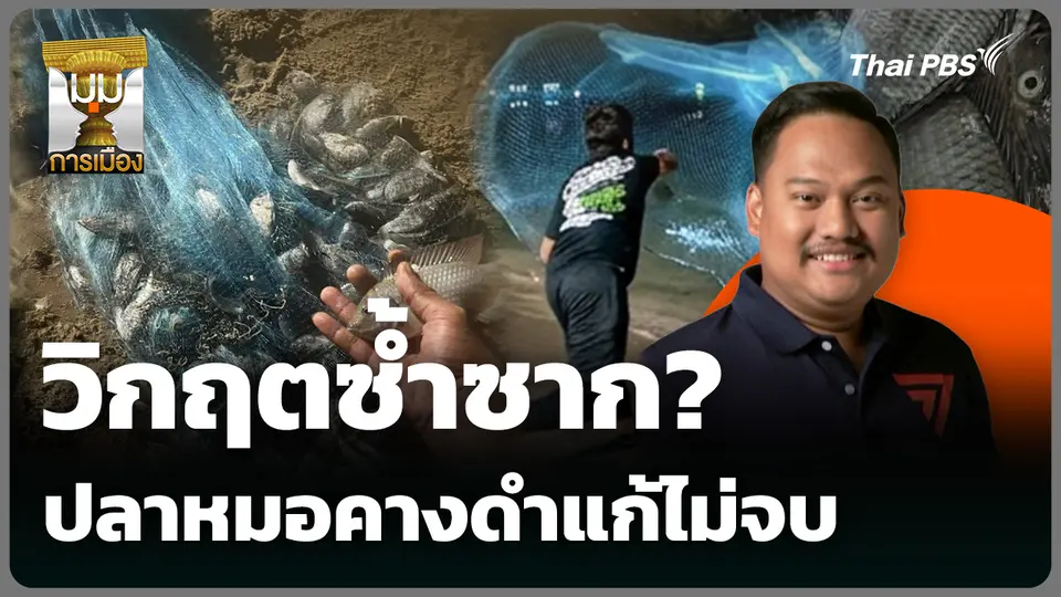 วิกฤตซ้ำซาก? ปลาหมอคางดำแก้ไม่จบ
