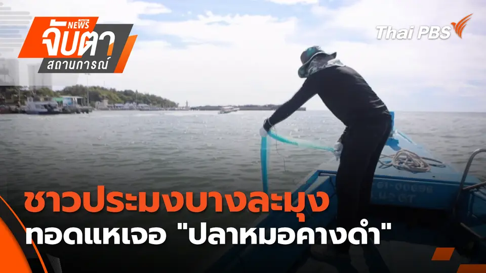 ชาวประมงบางละมุง ทอดแหเจอ "ปลาหมอคางดำ"