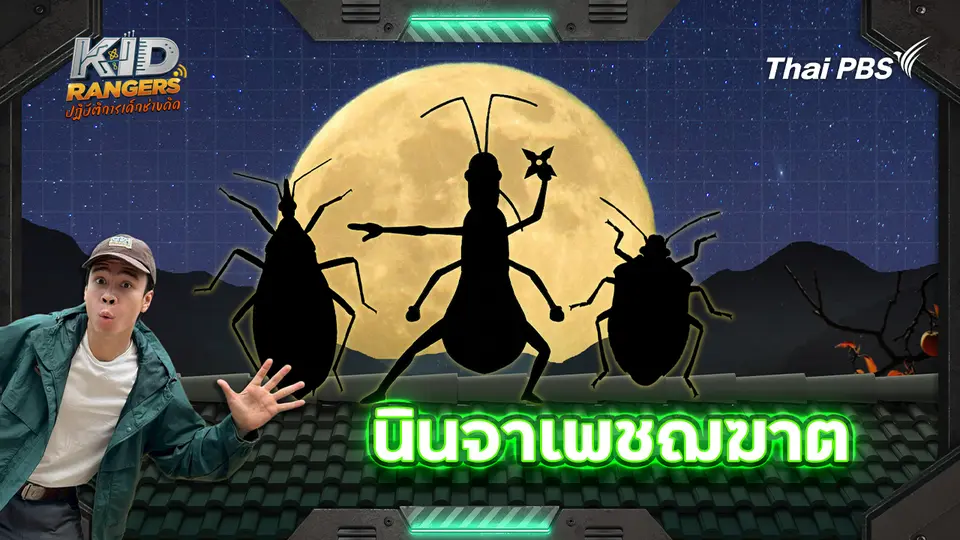 นินจาเพชฌฆาต 