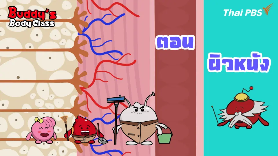ผิวหนัง
