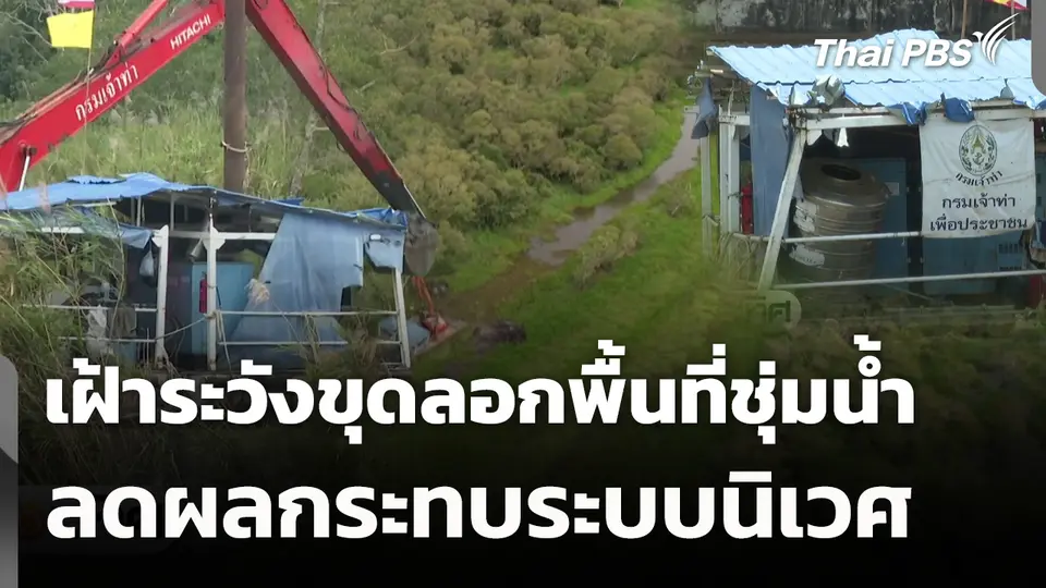 เฝ้าระวังขุดลอกพื้นที่ชุ่มน้ำลดผลกระทบระบบนิเวศ 