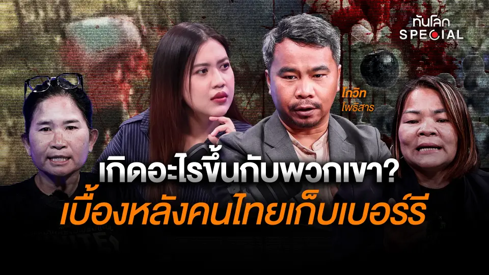 เกิดอะไรขึ้นกับพวกเขา? เบื้องหลังคนไทยเก็บเบอร์รี